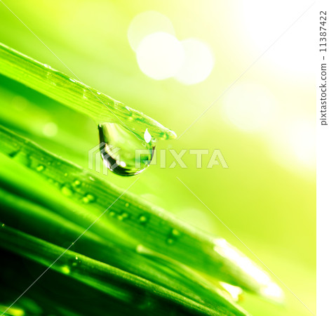 shine water drop 11387422