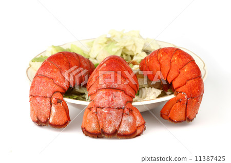 lobster tail lobster tail 11387425