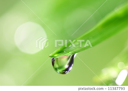 big water drop big water drop 11387793