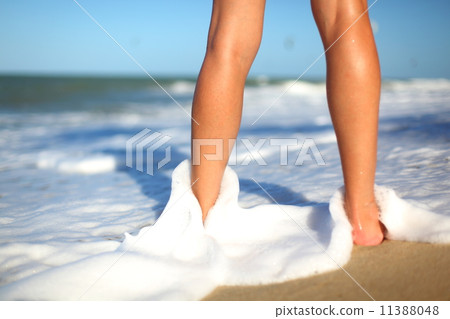 see on ocean 11388048