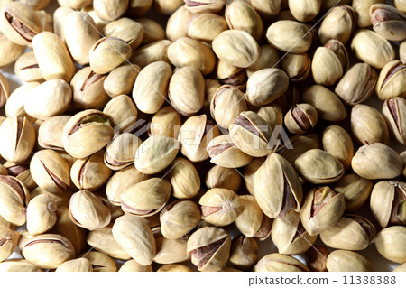 pistachios pistachios 11388388