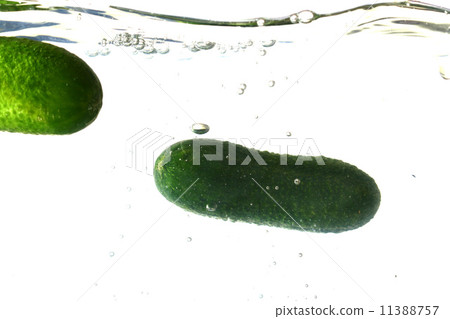 cucumber splash 11388757