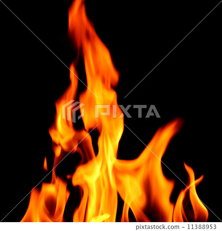 fire flame 11388953