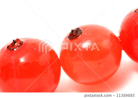 red currant red currant 11389885