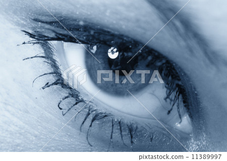 eye eye 11389997