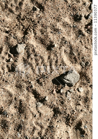 sand texture 11390377