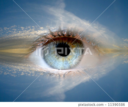 eye 11390386