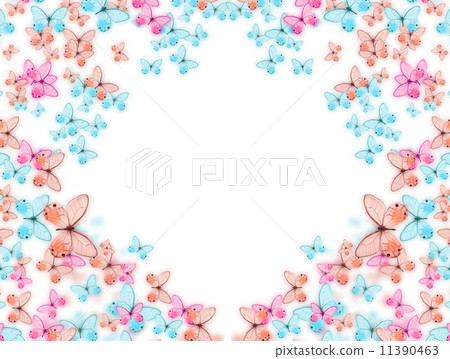 butterfly butterfly 11390463