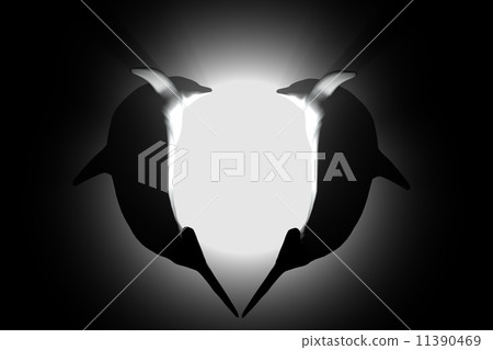 dolphins dolphins 11390469