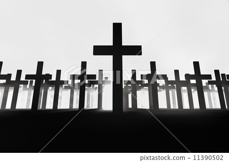 cross cross 11390502