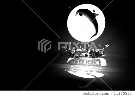 dolphin 11390533