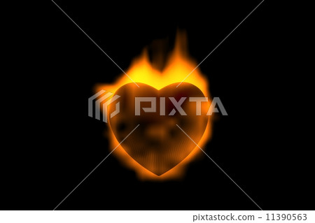 heart heart 11390563