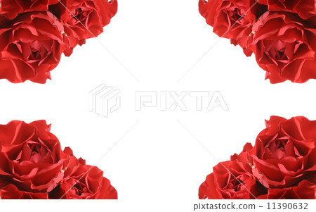 flower flower 11390632