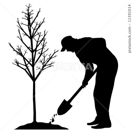 Planting a tree Planting a tree 11391014