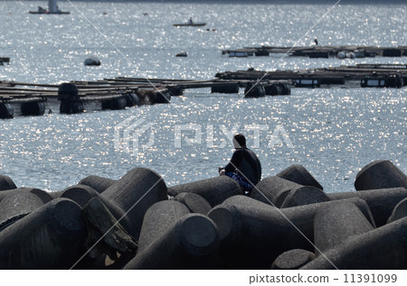 Tetrapot and people 11391099