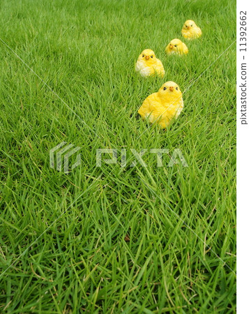 To go To go 11392662