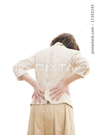 中年女商人 11393245