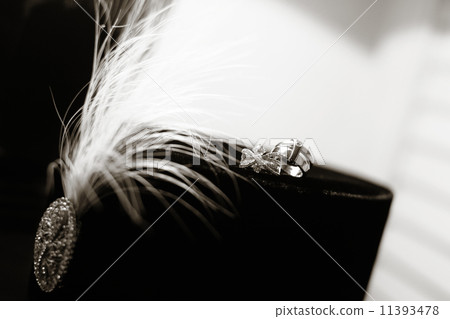 Wedding Rings Black & White Wedding Rings Black & White 11393478