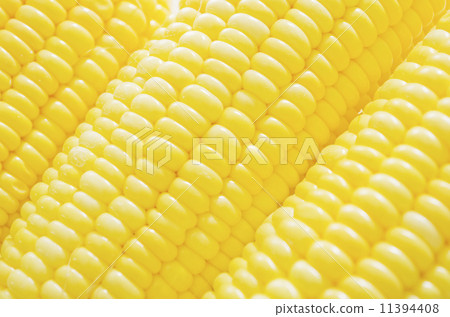 Corn Cobs 11394408
