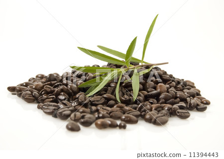 Coffee Beans Coffee Beans 11394443