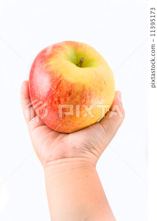 closeup image,Hand of the little boy with the red apples 11395173