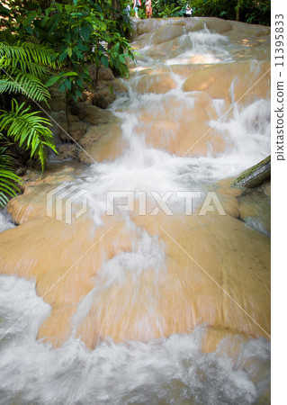 Nature of waterfall in the forest Nature of waterfall in the forest 11395833