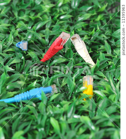 UTP lan cable on green grass UTP lan cable on green grass 11395963