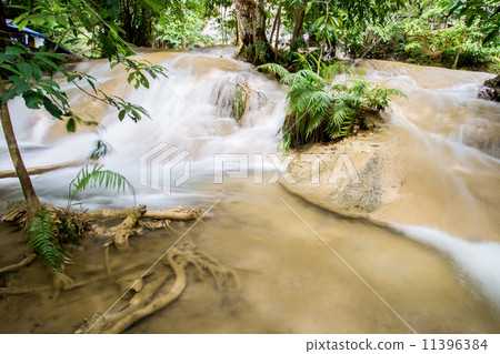 Nature of waterfall in the forest Nature of waterfall in the forest 11396384