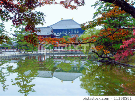 東大寺 11398591
