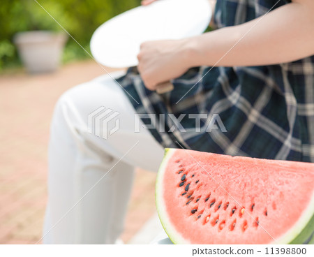 watermelon   11398800