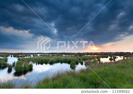sunset over swamp 11399082