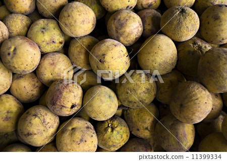 Santol Fruit 11399334