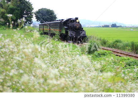 Moka Railway “Summer Fields and SL Moka” 11399380
