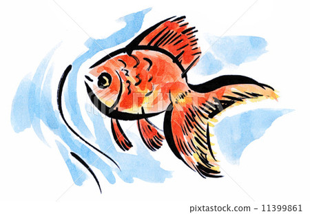 goldfish, goldfishes, gold fish 11399861