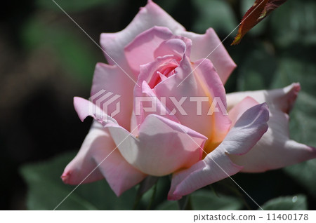 保密性大 11400178