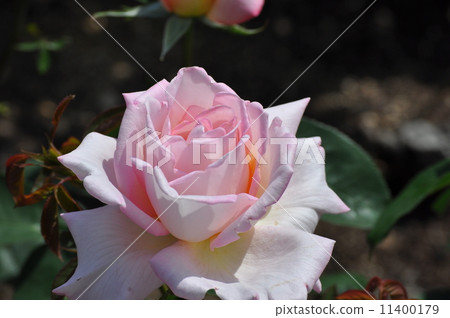 Full confined confidence 11400179