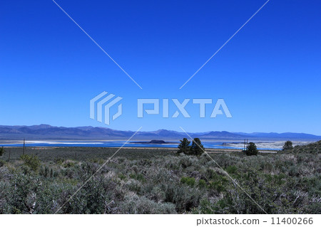 Monorek California 11400266