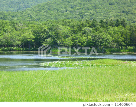 Shiretoko Iko Shiretoko Iko 11400664