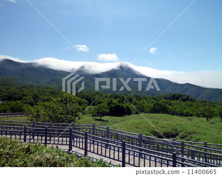 Shiretoko mountains and trees Shiretoko mountains and trees 11400665