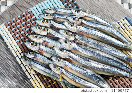 銀色條紋圓腹鯡 銀色條紋圓腹鯡 11400777