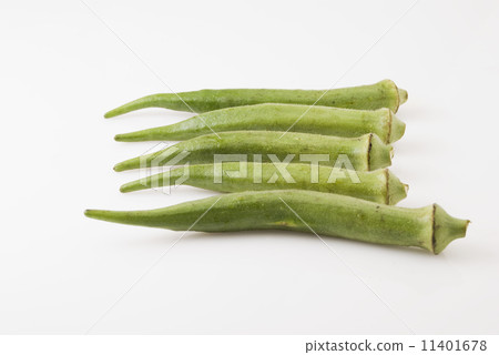 Okra 11401678