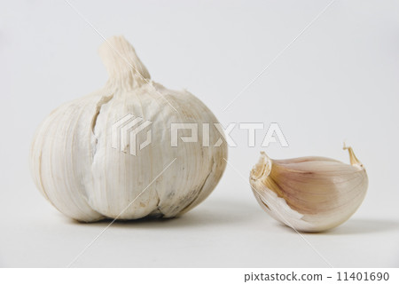 Garlic Garlic 11401690