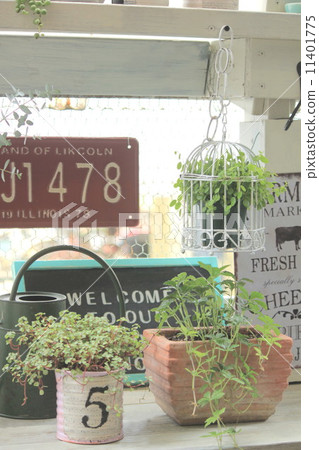 gardening gardening 11401775