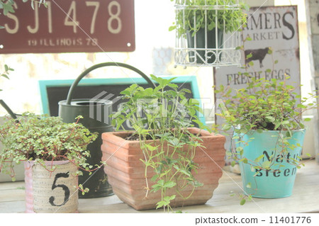 gardening gardening 11401776