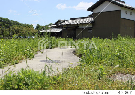 鄉間小路 鄉間小路 11401867