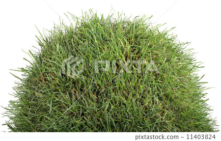 Grassy Tumulus Hill Grassy Tumulus Hill 11403824