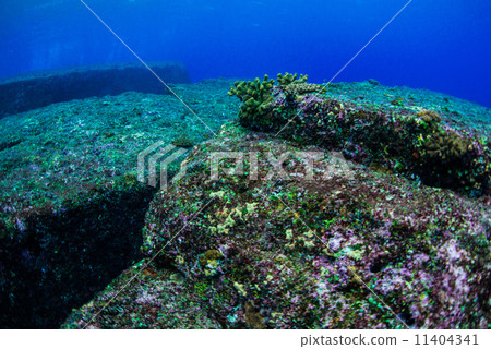 Yonaguni Submarine Site Yonaguni Submarine Site 11404341
