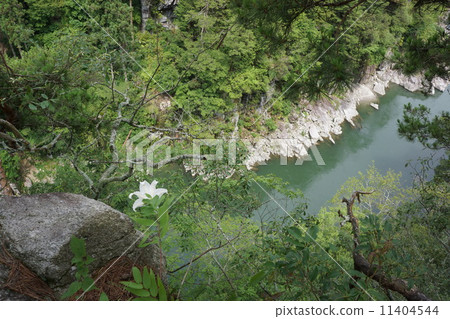 Tenkyo Tenkyo 11404544