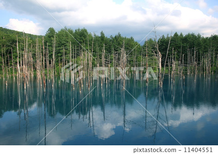 藍湖IMG_7710 2 11404551