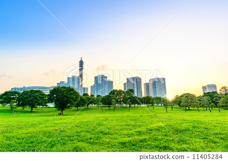 Yokohama Rinko Park in the evening (Nishi Ward, Yokohama-shi, Kanagawa) 11405284